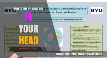 Exploring the Intricacies of Auditory Hallucinations: A Comprehensive Guide