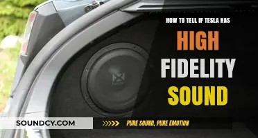 Decoding Tesla's Audio Quality: A Guide to High-Fidelity Sound