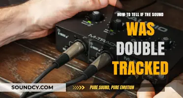 Unveiling the Mystery: How to Detect Double-Tracked Sounds