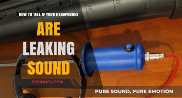 Silent Signals: Detecting Sound Leaks in Your Headphones