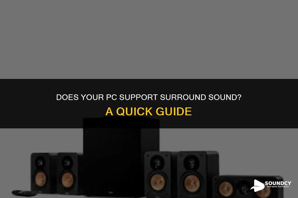 how to tell if your pc supports sournd sounds