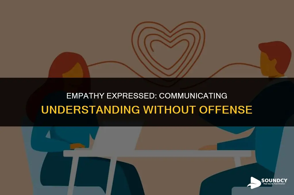 how to tell someone you understand without sounding rude