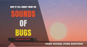 Nature's Symphony: Decoding the Bug Sounds at Sunset