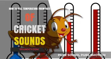 Nature's Thermometer: Decoding Cricket Chirps to Gauge Temperature