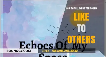 Echoes of Self: How Others Hear Your Voice