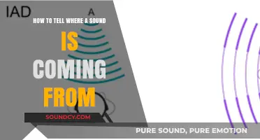 Decoding Directions: The Art of Sound Localization