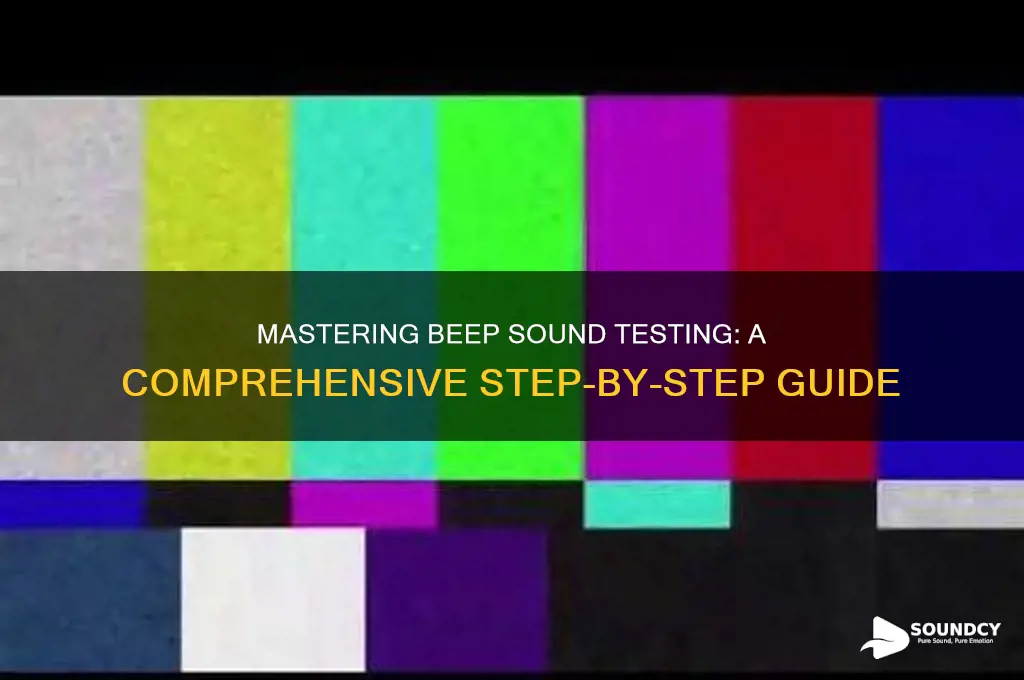 how to test beep sound