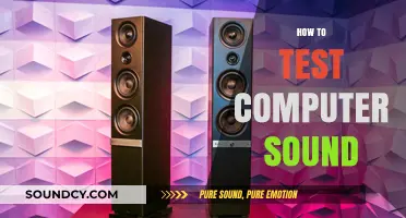 Mastering Audio Checks: A Step-by-Step Guide to Testing Computer Sound
