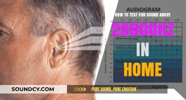Exploring High-Frequency Sounds: A Guide to Testing Above 20,000 Hz at Home