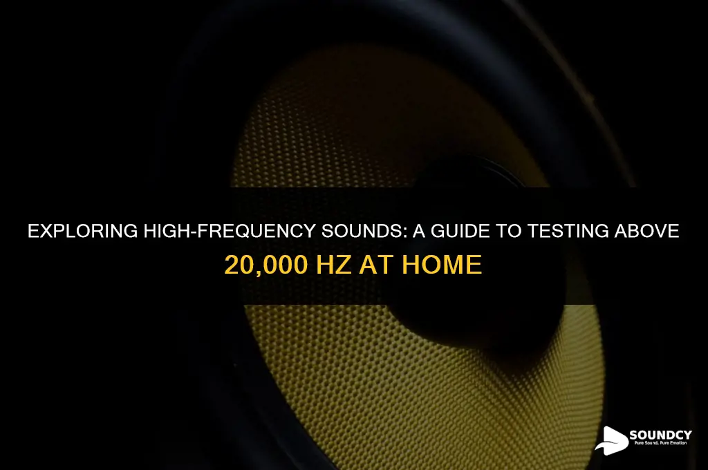 how to test for sound above 20000hz in home