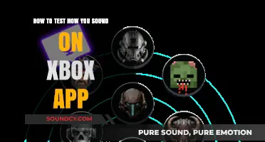 Master Your Xbox Voice: A Guide to Testing Your Sound