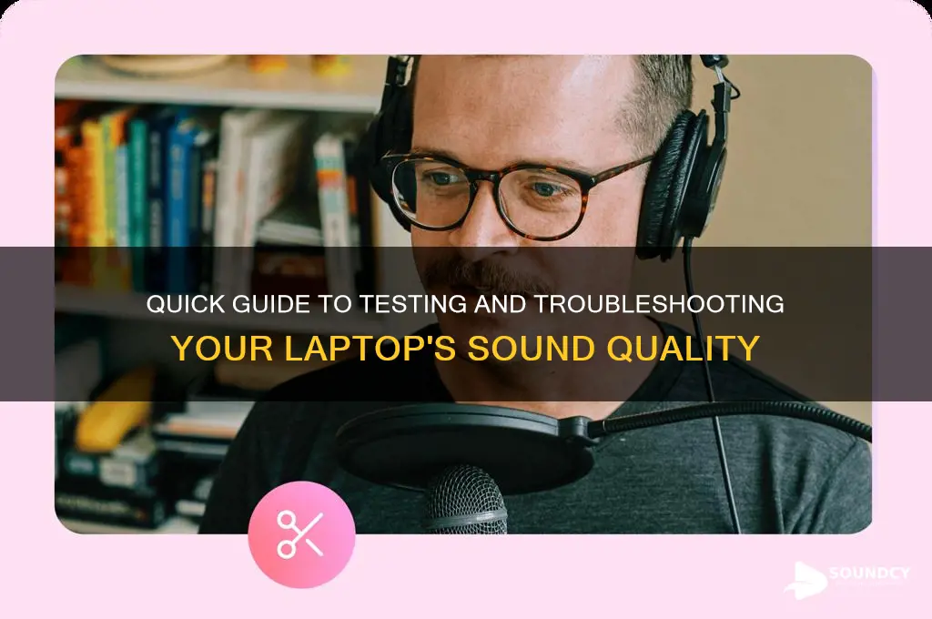 how to test laptop sound