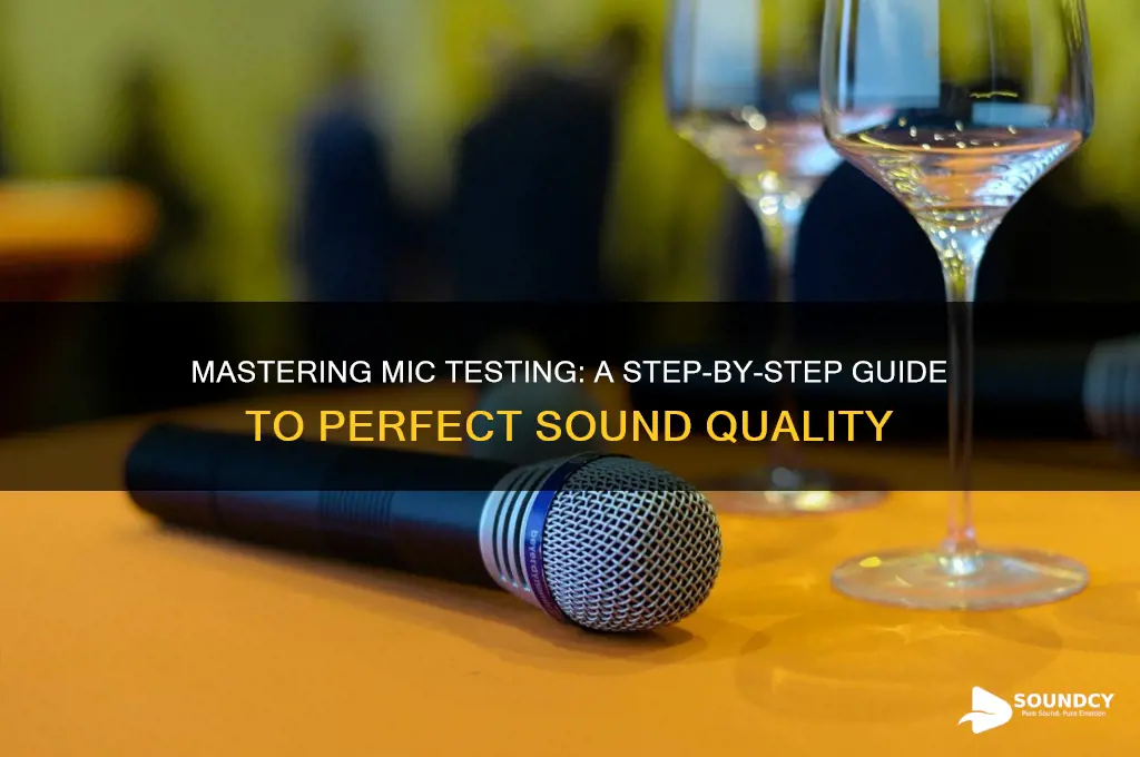 how to test mic sound
