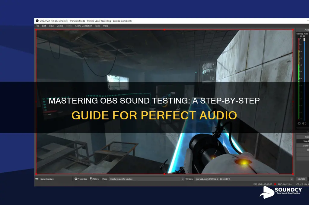 how to test obs sound