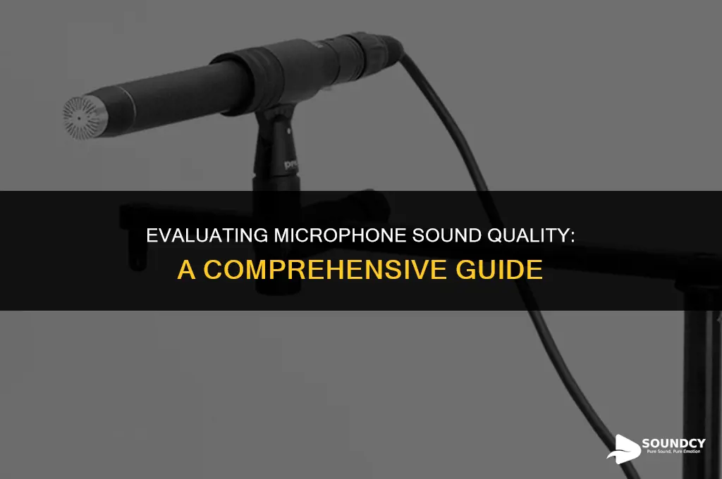 how to test out the sound quality of microphone