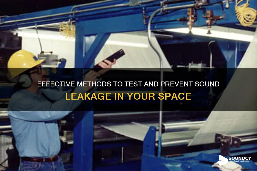 how to test sound leakage