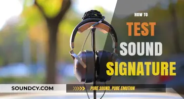 Mastering Audio Testing: How to Evaluate Sound Signature Effectively