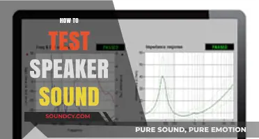 Mastering Speaker Sound Testing: A Comprehensive Guide for Optimal Audio Quality