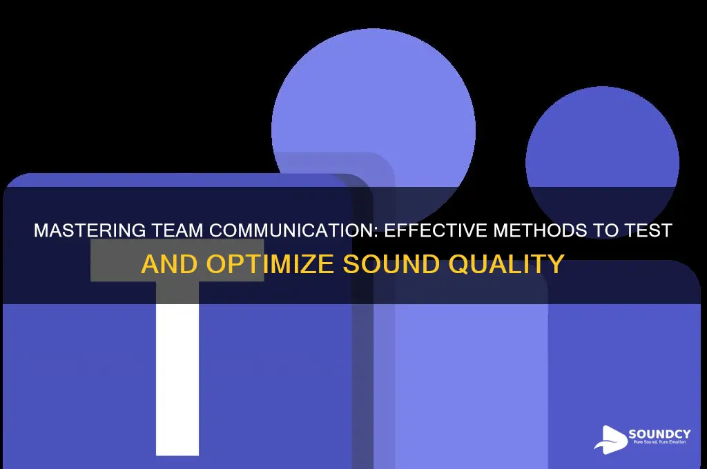 how to test teams sound