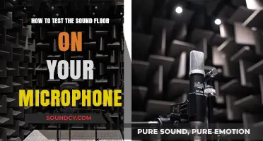 Mastering Audio Quality: A Guide to Testing Your Microphone's Sound Floor