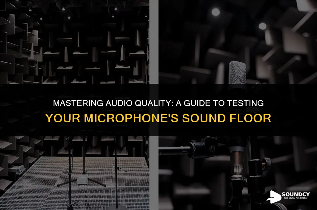 how to test the sound floor on your microphone