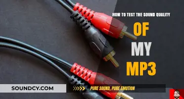Evaluating MP3 Sound Quality: A Comprehensive Guide