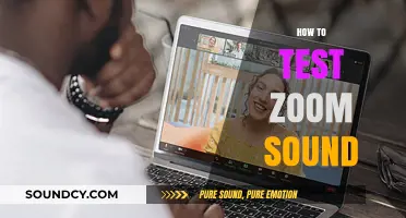 Mastering Zoom Audio: A Step-by-Step Guide to Testing Your Sound