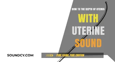 Exploring Uterine Depths: A Guide to Using Uterine Sound