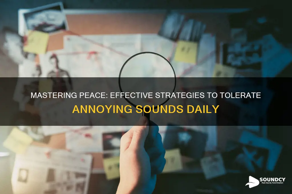 how to tolerate annoying sounds