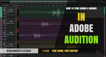 Mastering Audio Editing: Taming Sibilant Sounds in Adobe Audition