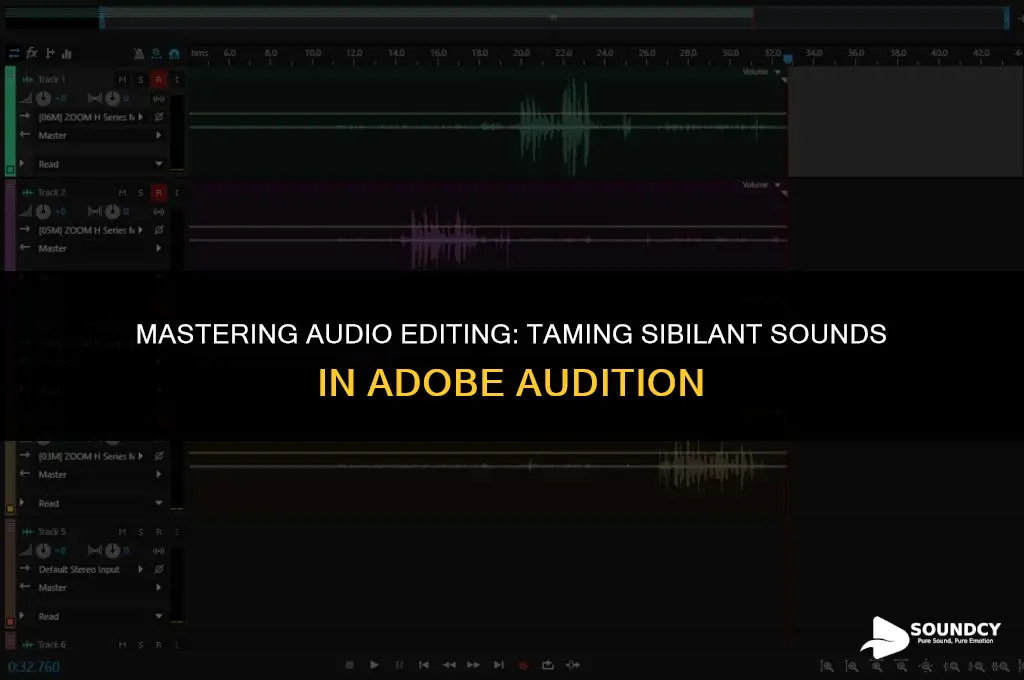 how to tone down s sounds in adobe audition