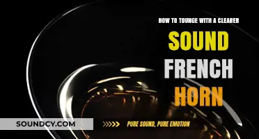 Mastering the Art of Tongue Control for a Clearer French Horn Sound