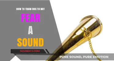 Conquering Canine Sound Sensitivity: A Step-by-Step Guide
