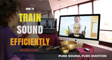 Master Efficient Sound Training: Proven Techniques for Optimal Results