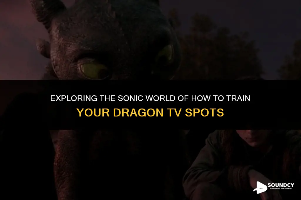 how to train your dragon tv spot sound wikia