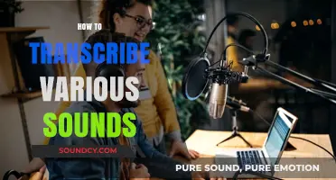 Mastering Sound Transcription: Techniques for Capturing Diverse Audio Accurately