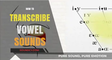 Mastering Vowel Transcription: A Step-by-Step Guide to Accurate Phonetic Notation