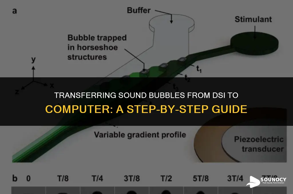 how to transfer sound bubbles from dsi to computer