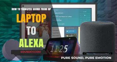 Seamlessly Stream Audio from Your HP Laptop to Alexa