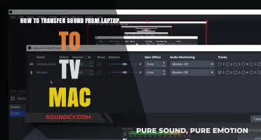 Seamlessly Stream Audio: Transfer Sound from Laptop to TV on Mac