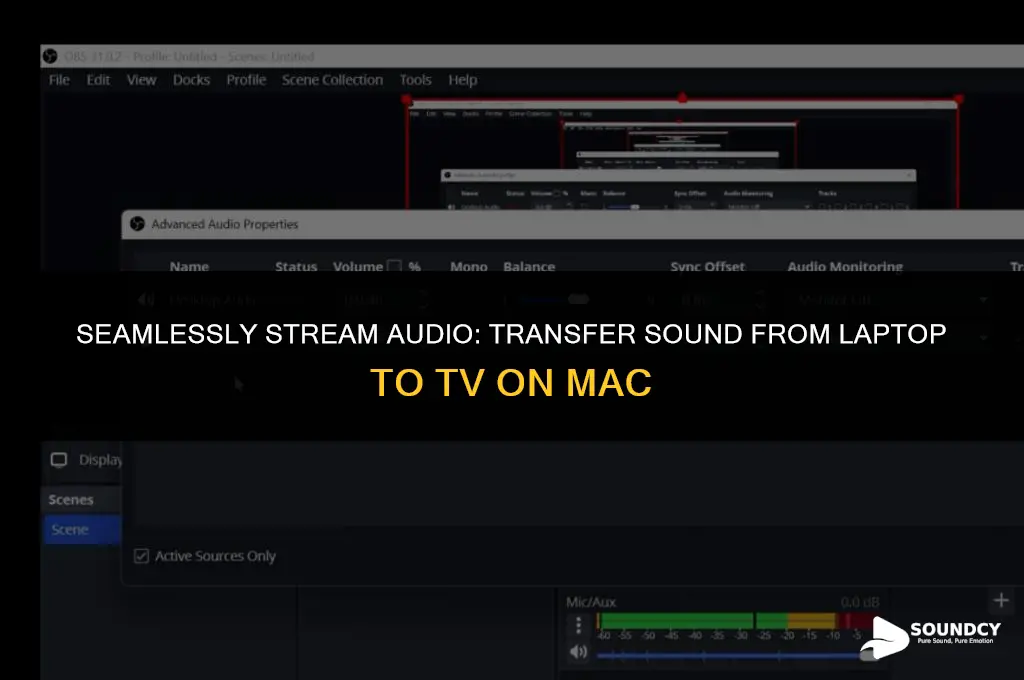 how to transfer sound from laptop to tv mac