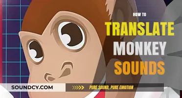 Decoding Monkey Communication: A Beginner's Guide to Translating Primate Sounds