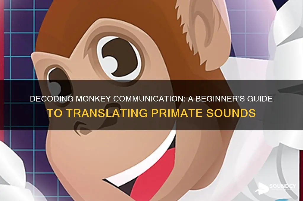 how to translate monkey sounds