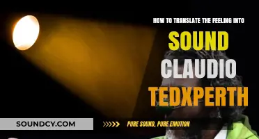 Translating Emotions into Melodies: Claudio's TEDxPerth Journey