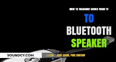 Effortlessly Connect: TV to Bluetooth Speaker Sound Transmission Guide