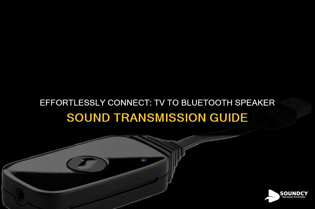 how to transmit sound from tv to bluetooth speaker