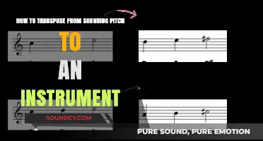 Mastering Transposition: From Sounding Pitch to Instrumental Harmony
