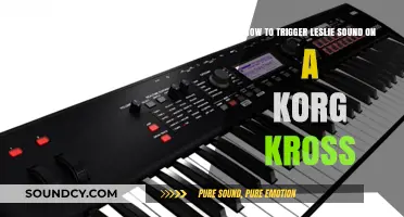 Unleashing the Leslie Sound on Your Korg Kross: A Step-by-Step Guide