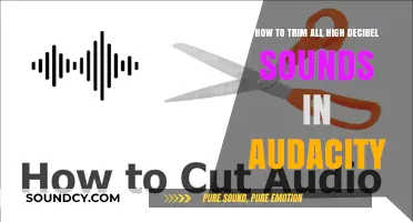 Mastering Audio Editing: Tame High Decibel Sounds in Audacity