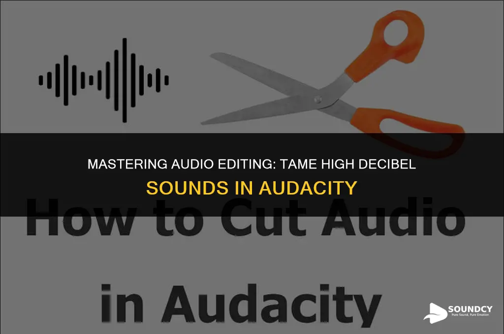 how to trim all high decibel sounds in audacity